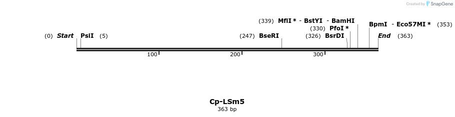 11963_map