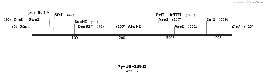 11965_map