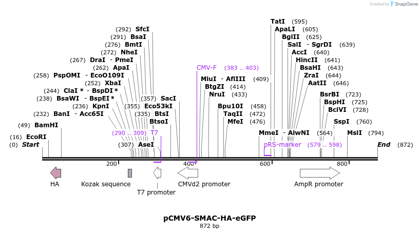 119652_map