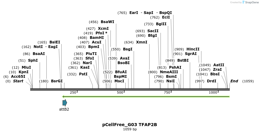 119669_map