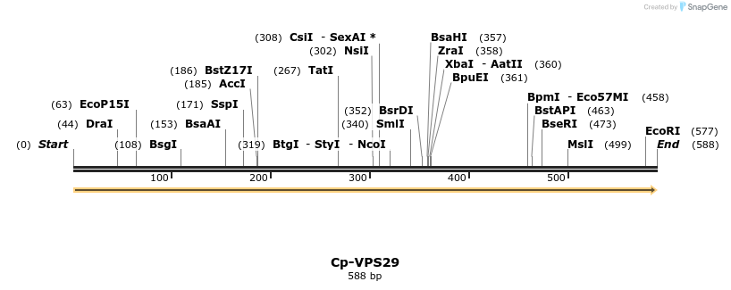 11967_map