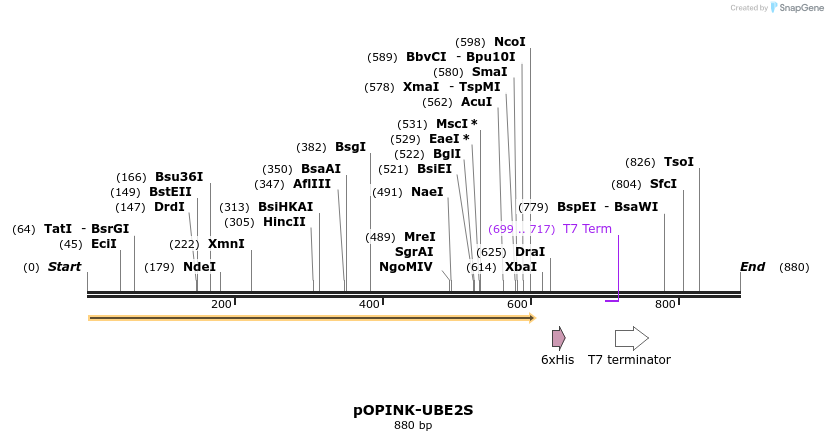 119670_map