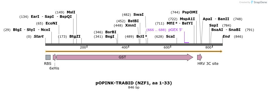 119682_map