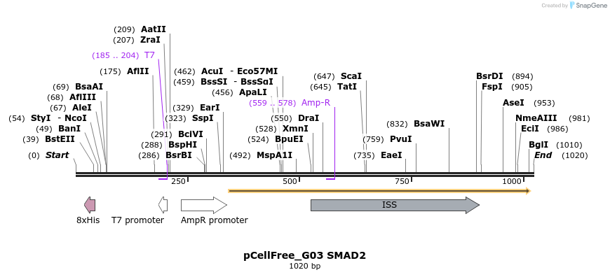 119685_map