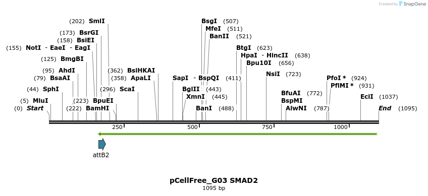 119687_map