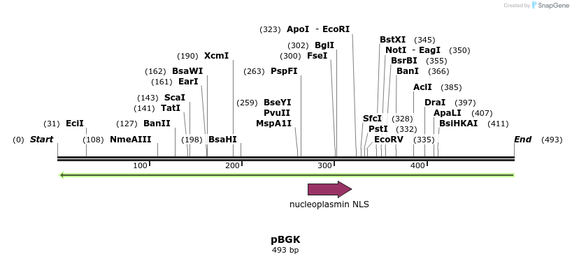 119688_map