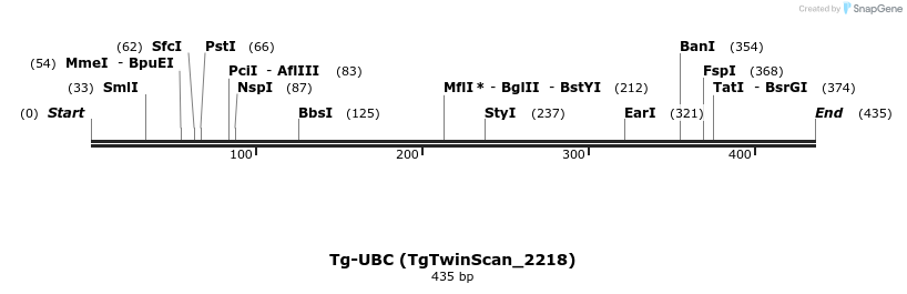 11969_map