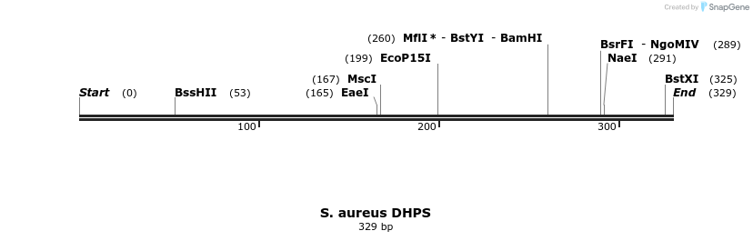119690_map