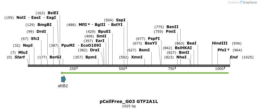 119691_map