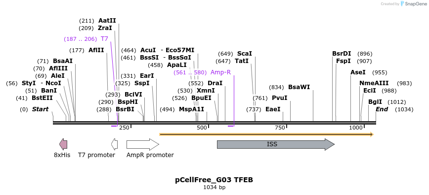 119694_map