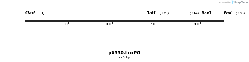 119695_map