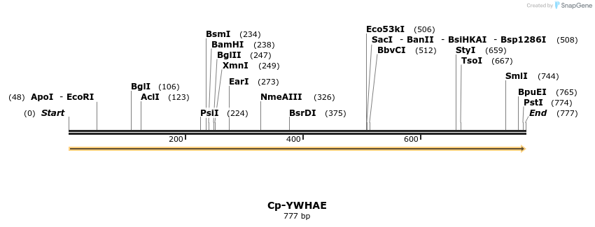 11970_map