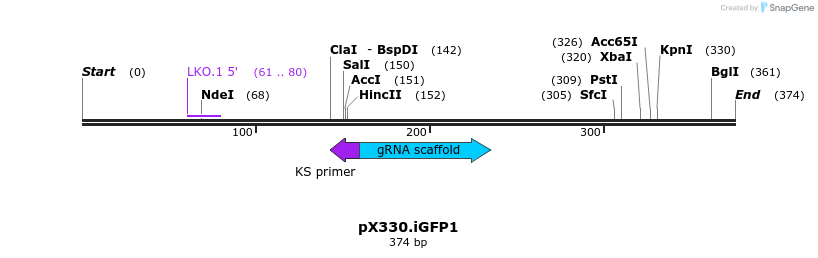 119702_map