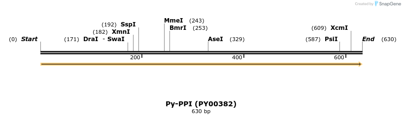 11971_map