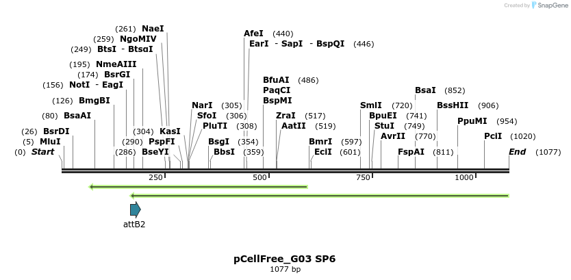 119711_map