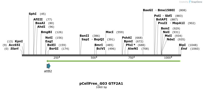 119718_map