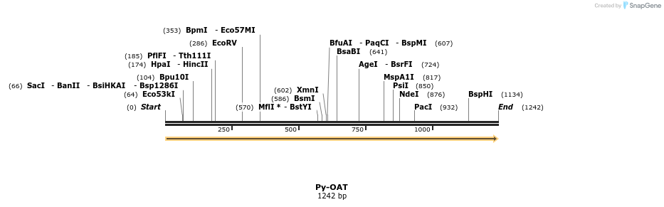 11972_map