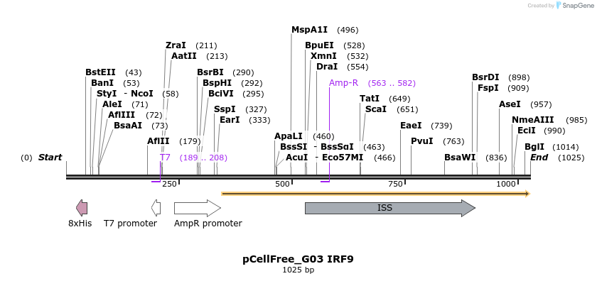 119721_map