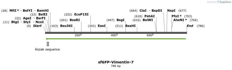 119725_map