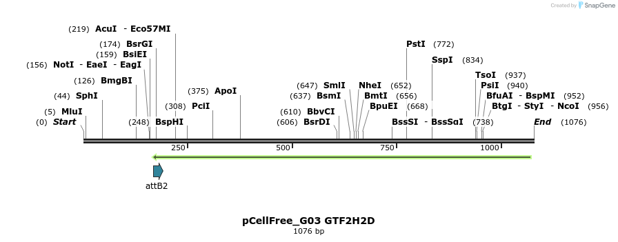 119731_map