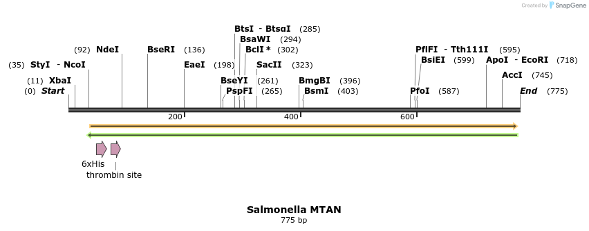 119732_map