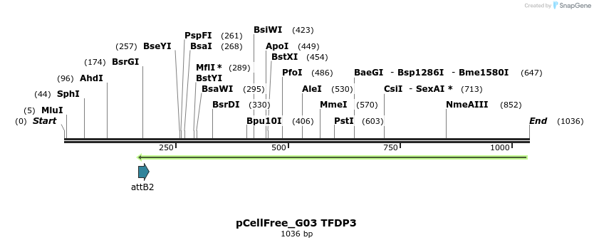 119736_map