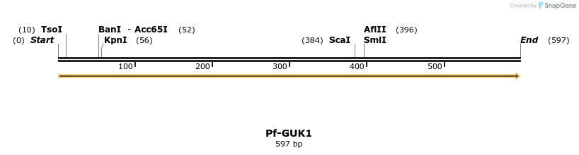 11975_map