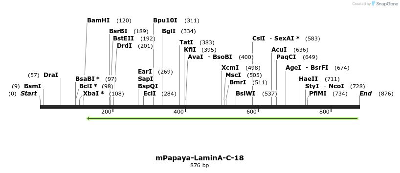 119759_map