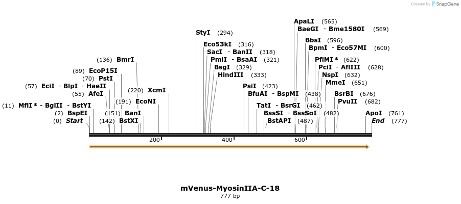 119760_map
