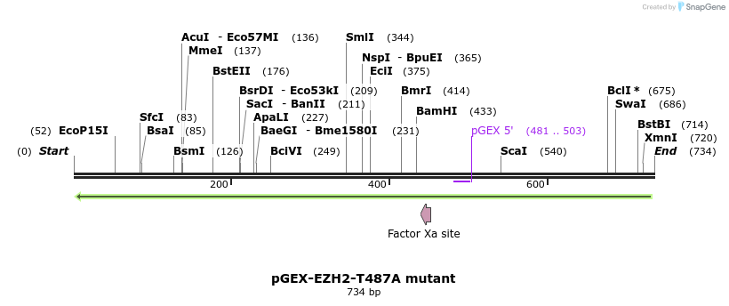 119764_map