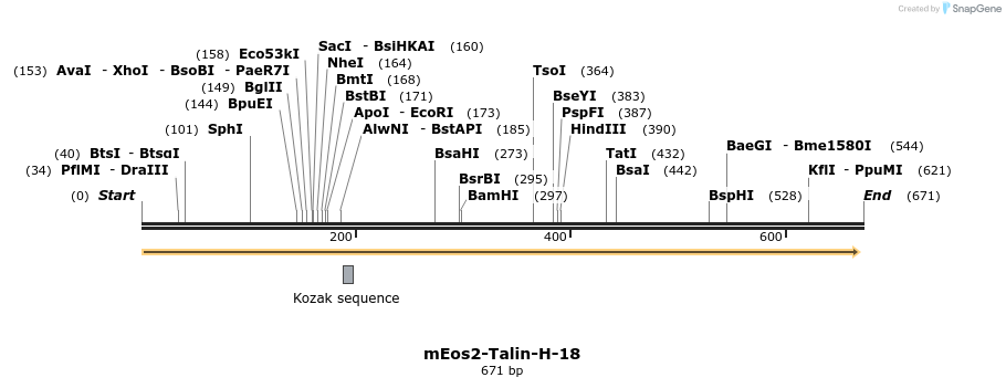 119767_map
