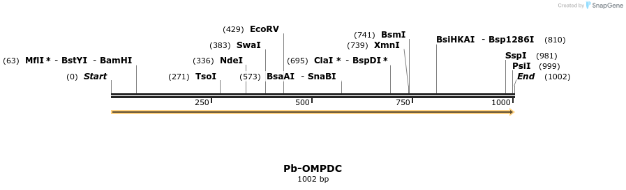 11977_map
