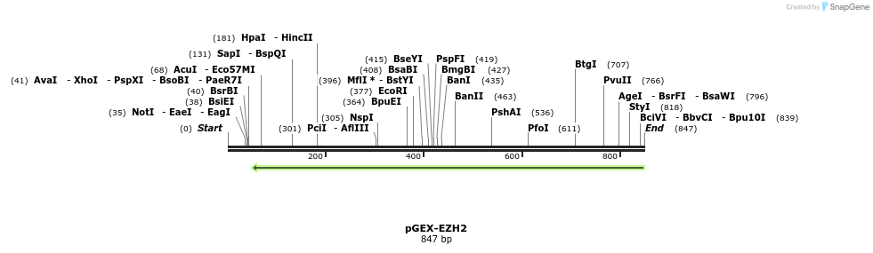 119771_map