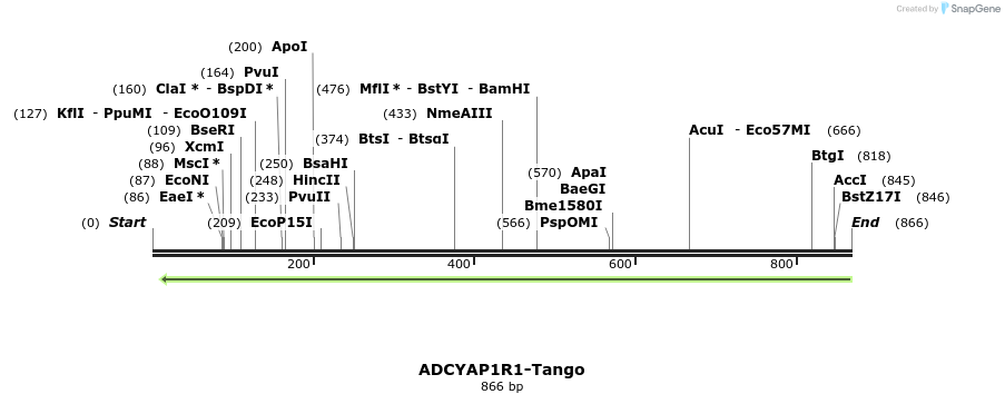119773_map
