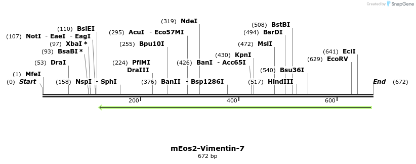 119776_map