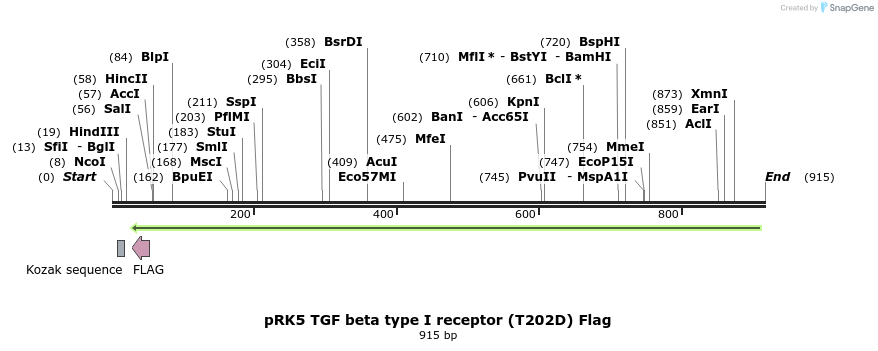 119777_map