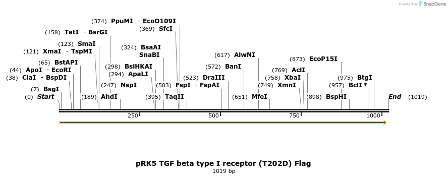 119778_map