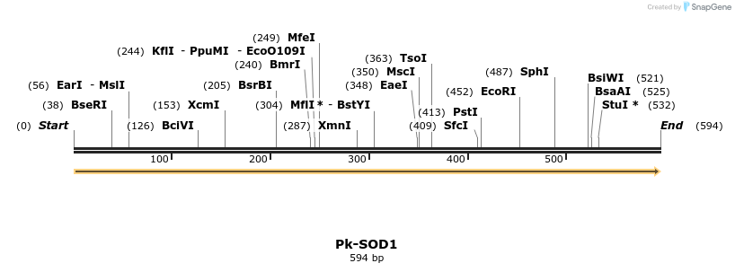 11978_map