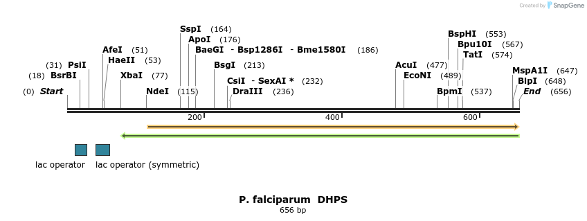 119780_map