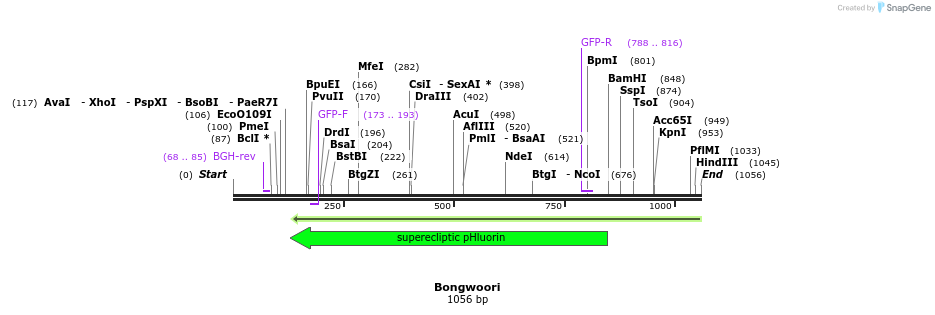 119782_map
