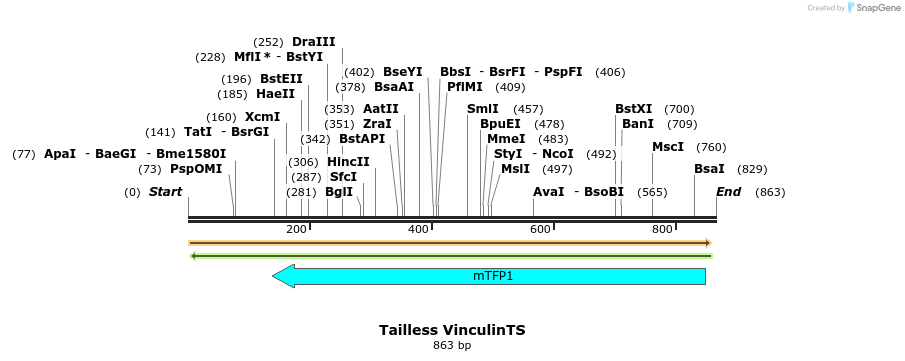 119783_map