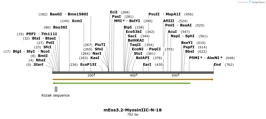 119786_map