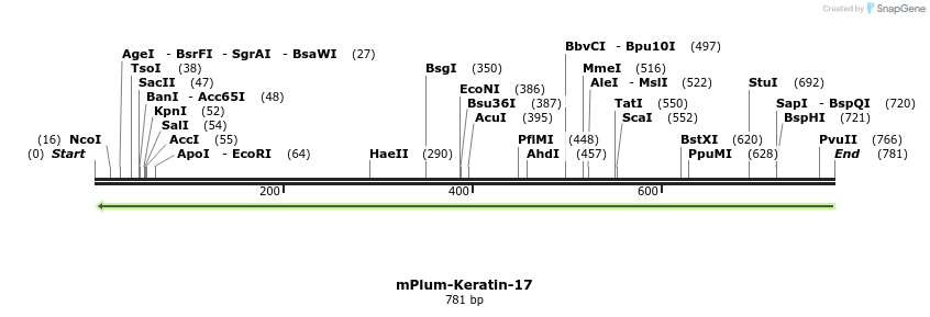 119789_map