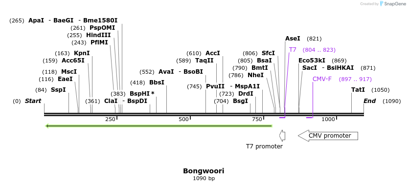 119792_map