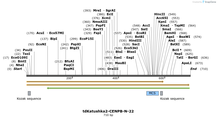 119796_map