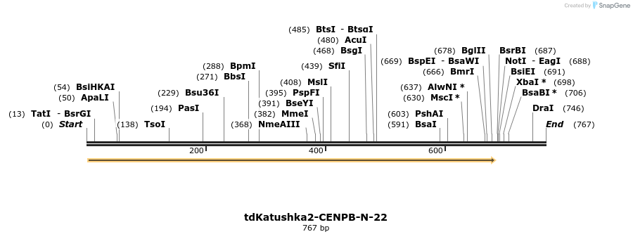 119798_map