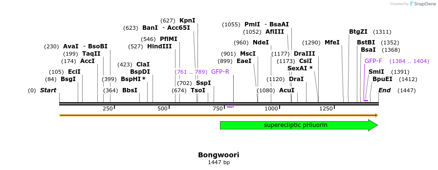 119799_map