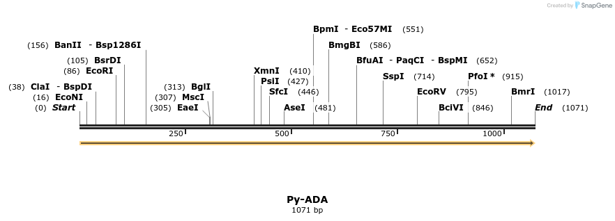 11980_map