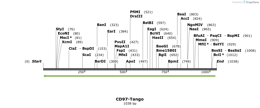 119800_map