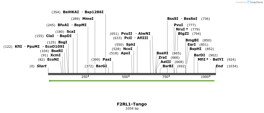 119803_map